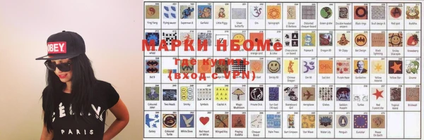крисы Кулебаки