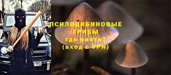 соль ск Костерёво