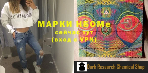 крисы Кулебаки