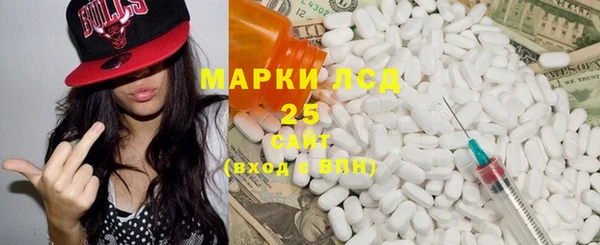 крисы Кулебаки