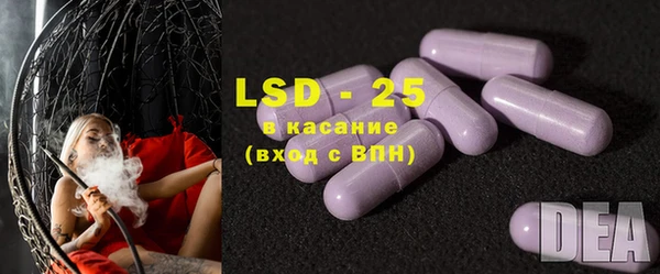 крисы Кулебаки