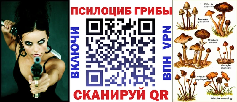 сколько стоит  OMG сайт  Галлюциногенные грибы MAGIC MUSHROOMS  Новая Ладога 